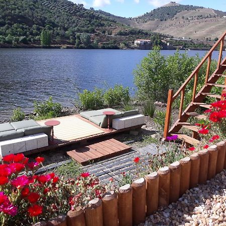 Casa Dos Vinhais - Douro Valley Coleja Eksteriør bilde