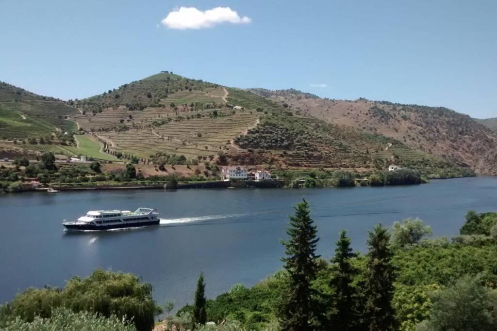 Casa Dos Vinhais - Douro Valley Coleja Eksteriør bilde