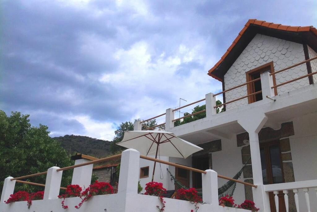 Casa Dos Vinhais - Douro Valley Coleja Eksteriør bilde